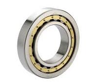 N203 Cylindrical Roller Bearing 17x40x12mm