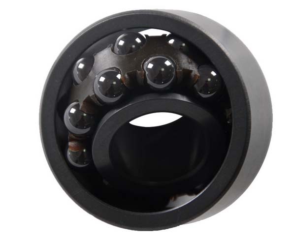 2202 All ceramic self-aligning ball bearing15×35×14mm