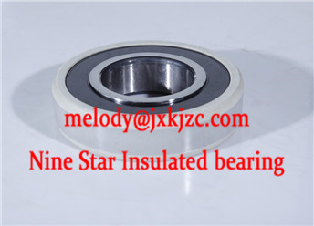 6040/C3J20AA insulated bearing