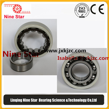 nu215c3 Insulated Bearing 75x130x25mm