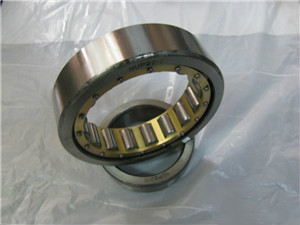 NJ2308 Cylindrical Roller Bearing 40×90×33 mm