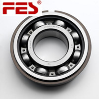 63002EE bearing 15x32x13mm FES Bearing