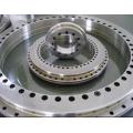 YRTS325 rotary table bearing