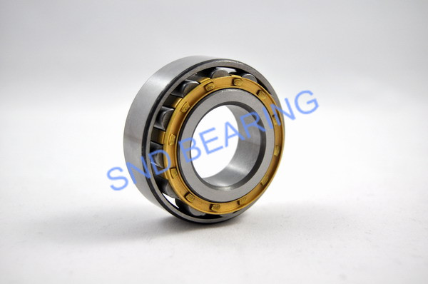N2320EM/P6 bearing 100x215x73mm
