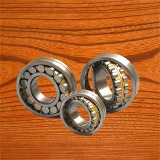 NU305E Cylindrical roller bearing