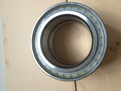 SL04.5004PP NNF5004ADA-2LSV bearings