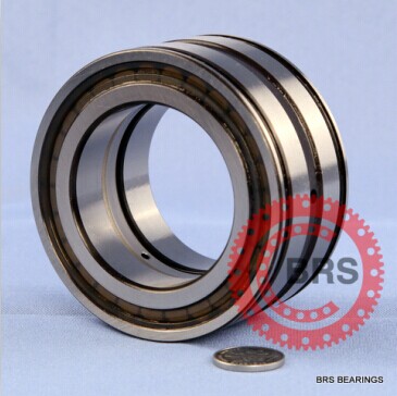 SL045017-PP Double-row full complement cylindrical roller bearing