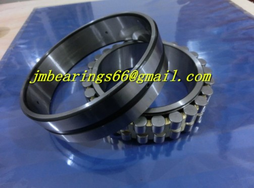 SL04 5015 PP 2NR Cylindrical Roller Bearing 75x115x54mm