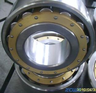 NU 1005 Open Single-Row Cylindrical Roller Bearing 25*47*12mm