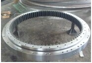 SH120-3 Slewing Ring Bearing