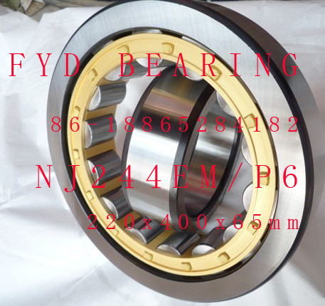 NJ244EM/P6 42244EH FYD cylindrical roller bearing 220x400x65mm