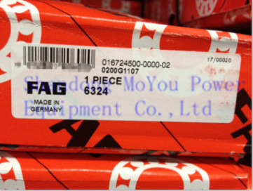 FAG 6324 Bearings