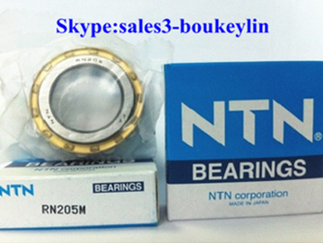 High Precision Cylindrical Roller Bearings RN205M 25x45x15mm