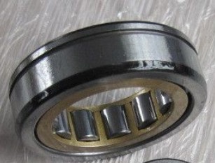 Cylindrical Roller NJ307E.M1C3 Bearing