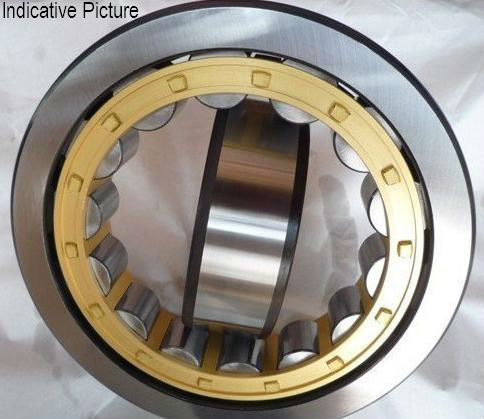 NU1040M cylindrical roller bearing 200x310x51mm