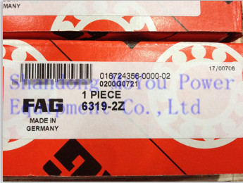 FAG 6319-2Z Bearings