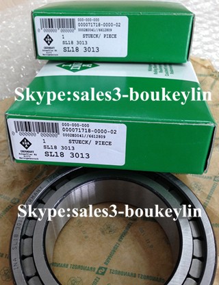 SL183013 Cylindrical Roller Bearings 65x100x26mm
