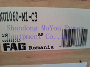 FAG NU1060-M1-C3 Bearings
