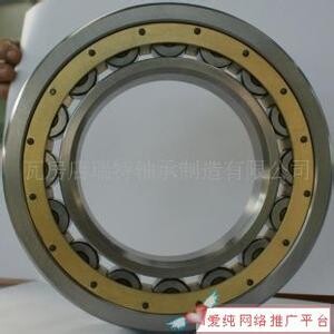 N 203 ECP Open Single-Row Cylindrical Roller Bearing 17*40*12mm