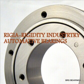 VU140179 four point contact bearing (INA structure)