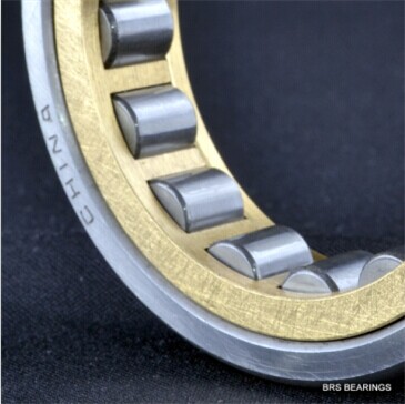 NJ Series Cylindrical Roller Bearing NJ206EM with Brass Cage