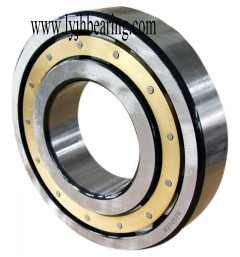 HCN1019-K-PVPA-SP bearing 95x145x24mm