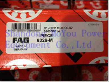 FAG 6326-M Bearings