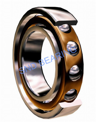 S6206.W203B bearing