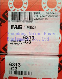 FAG 6313-C3 Bearings