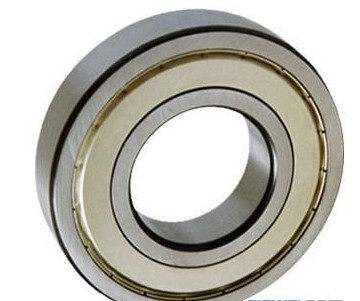 6026ZZ bearing
