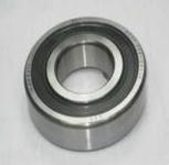 SS6303-2RS bearing
