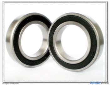 6009-2RS bearing
