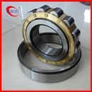 Cylindrical Roller bearing bearing NU 1009