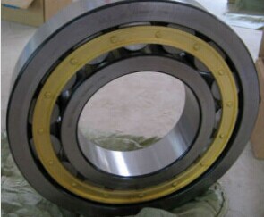 Nu344m Cylindrical Roller Bearing, 220X460*88mm