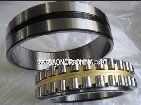 Cylindrical Roller NN3020ECM Bearing