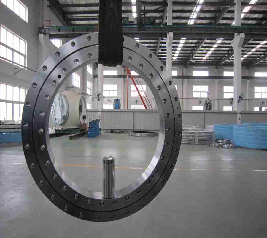 020.40.1250 Professional manufacturer supply all types of Slewing Bearing