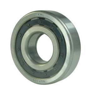 95mm Bore Cylindrical roller bearing NUP1019, Single row