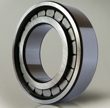 SL182210 full complement cylindrical roller bearing