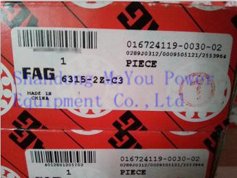 FAG 6315-2Z-C3 Bearings