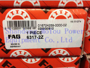 FAG 6317.2Z Bearings