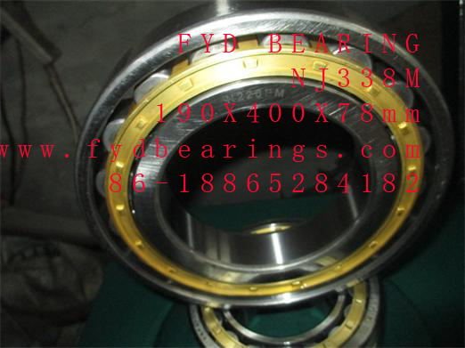 NJ338M 190×400×78mm FYD cylindrical roller bearings