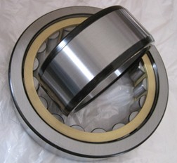 Cylindrical Roller NJ214ECM Bearing