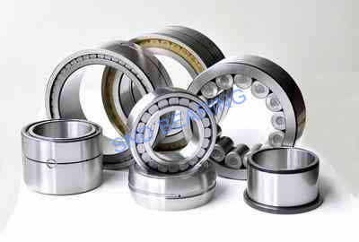RNU1022EM/P6 bearing 125x170x28mm