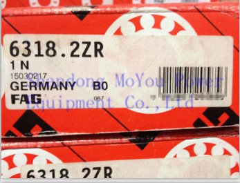 FAG 6318.2ZR Bearings