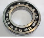 6000 bearing