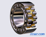 21319 CCK bearing