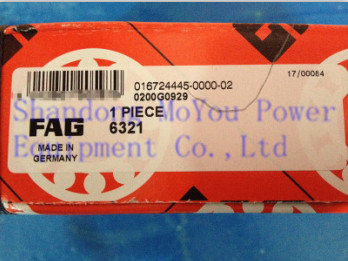 FAG 6321 Bearings