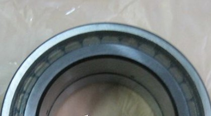 Cylindrical Roller Bearing SL04-5014PP NR