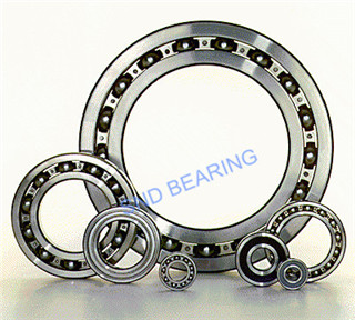 6032 2RS bearing