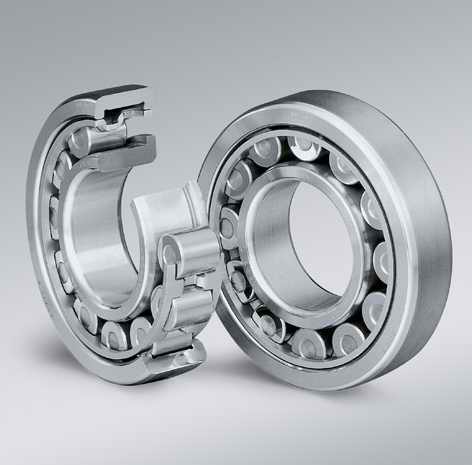 SL185010 bearing